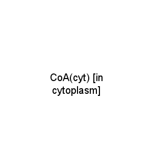 CoA(cyt) [in cytoplasm]